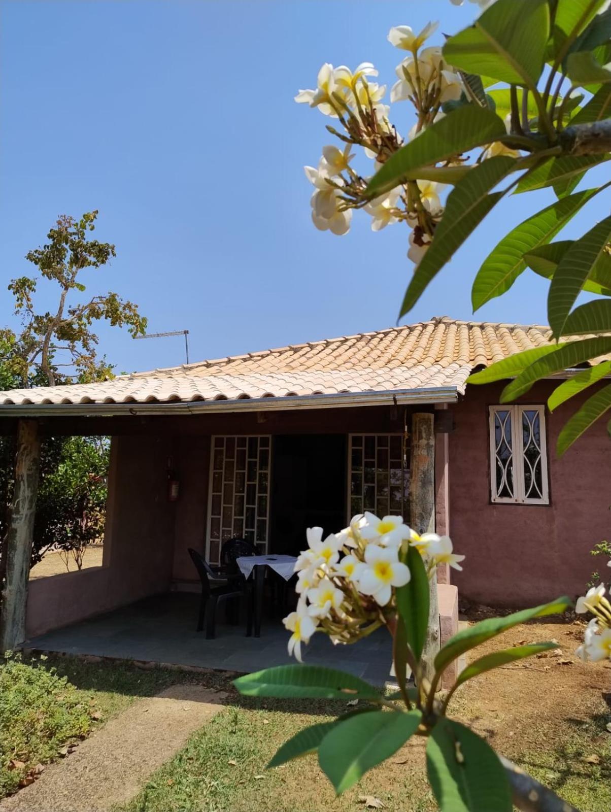Pousada Refugio Da Serra Pirenópolis Chambre photo